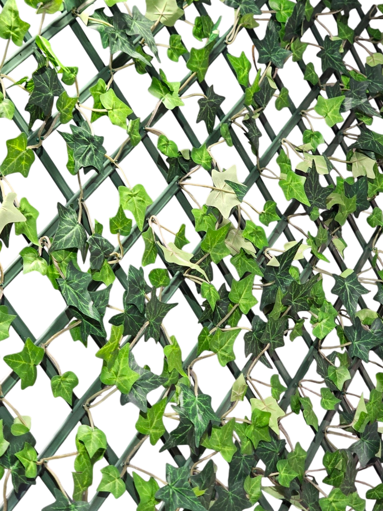 پەلی سکە 1.2
