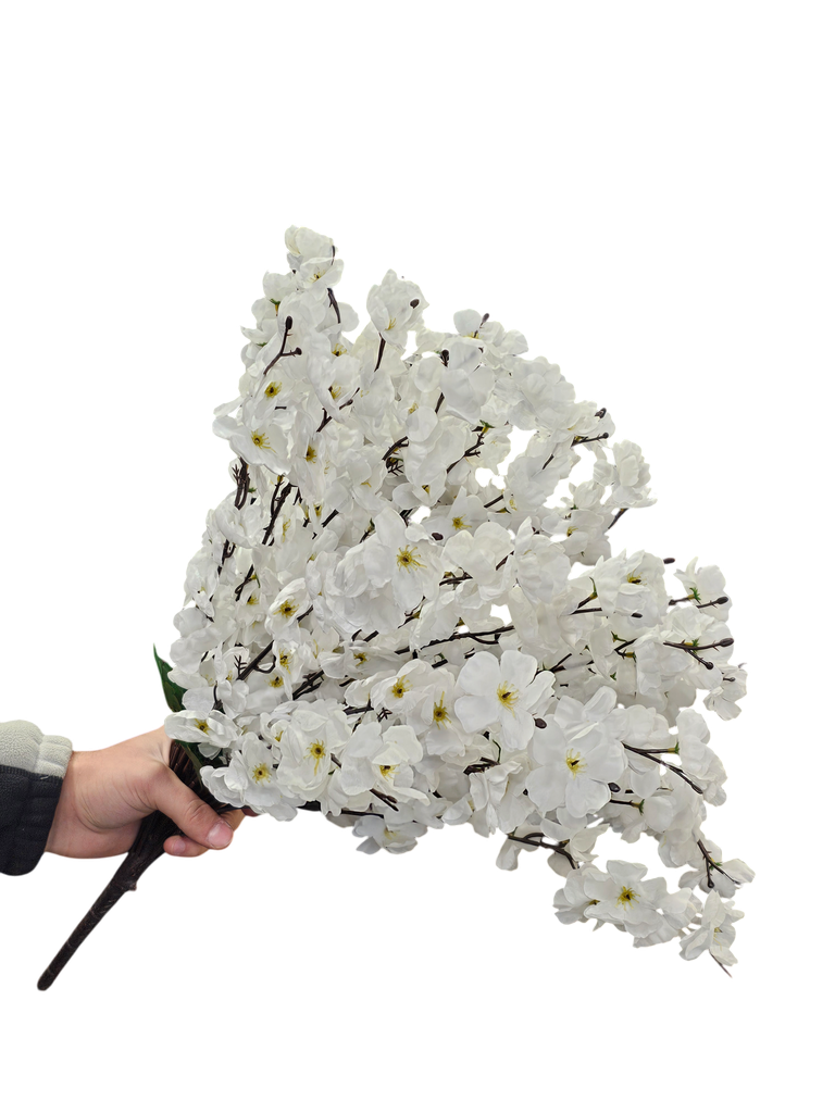 چەپکی مێخەک سپی
