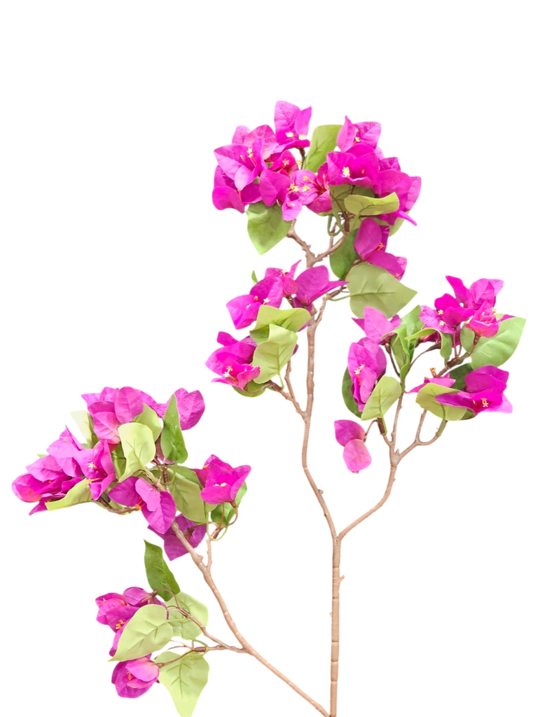 جەهەنەمی 