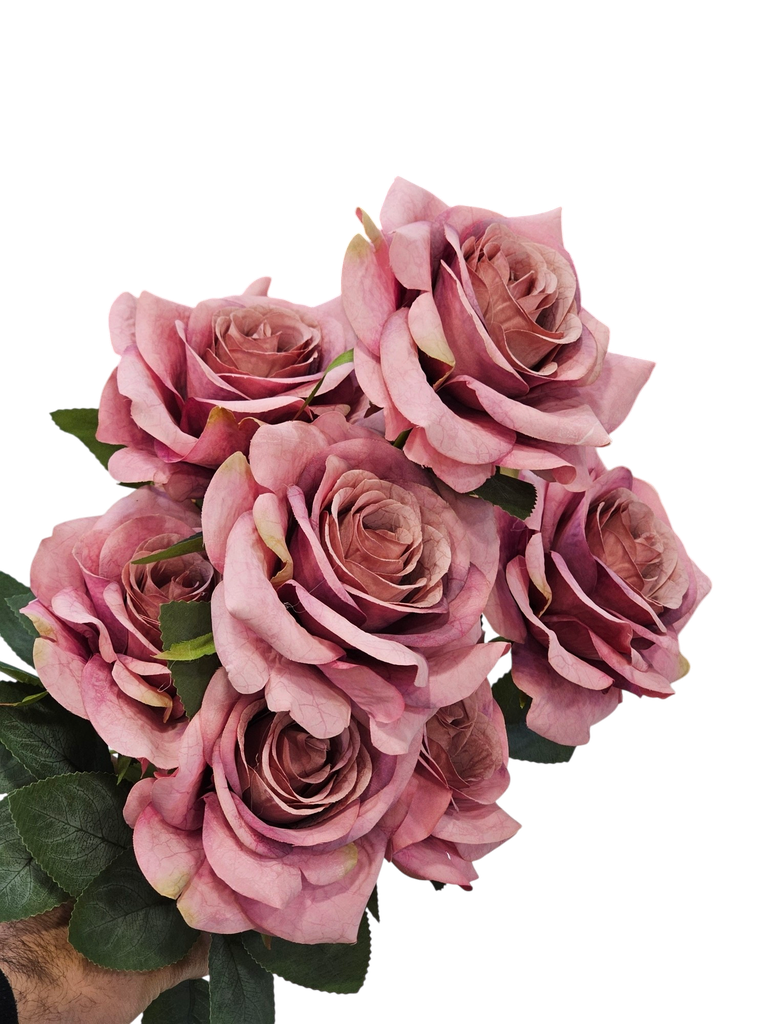 رۆزی سلڤەر