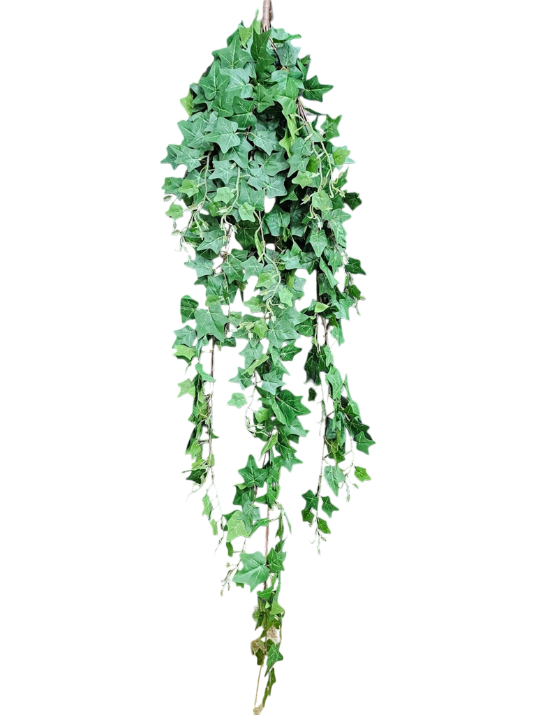 هایدرا 