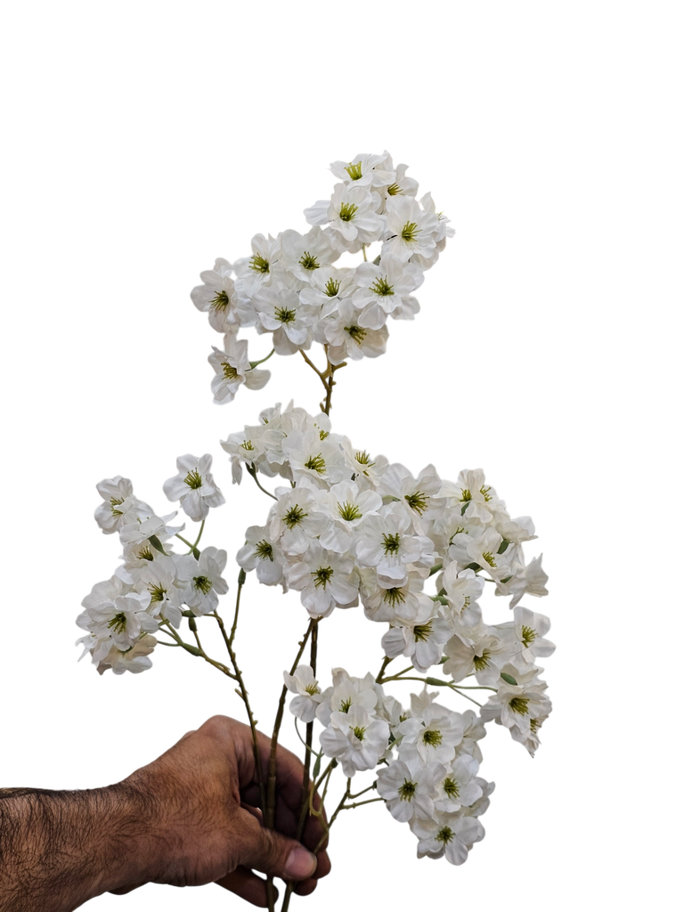 گوڵی تاک