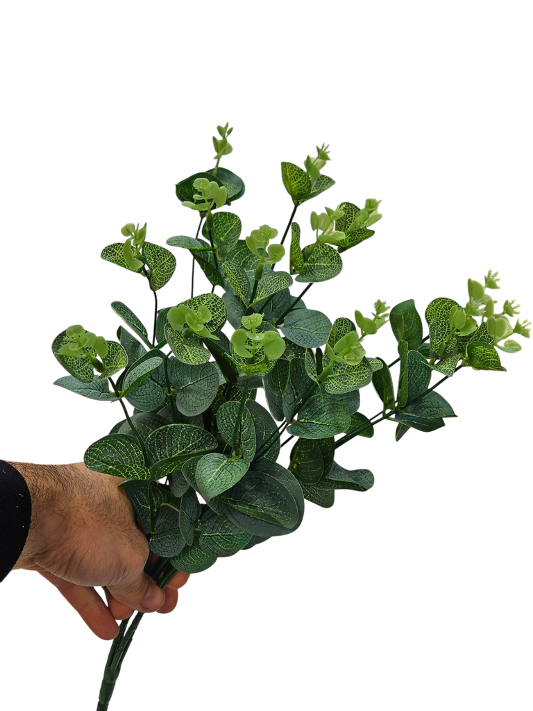 کالیپتۆس 