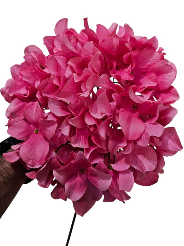 تاکی تۆپ پەمبە