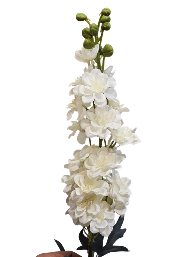 وێستێریا ئۆفوایت