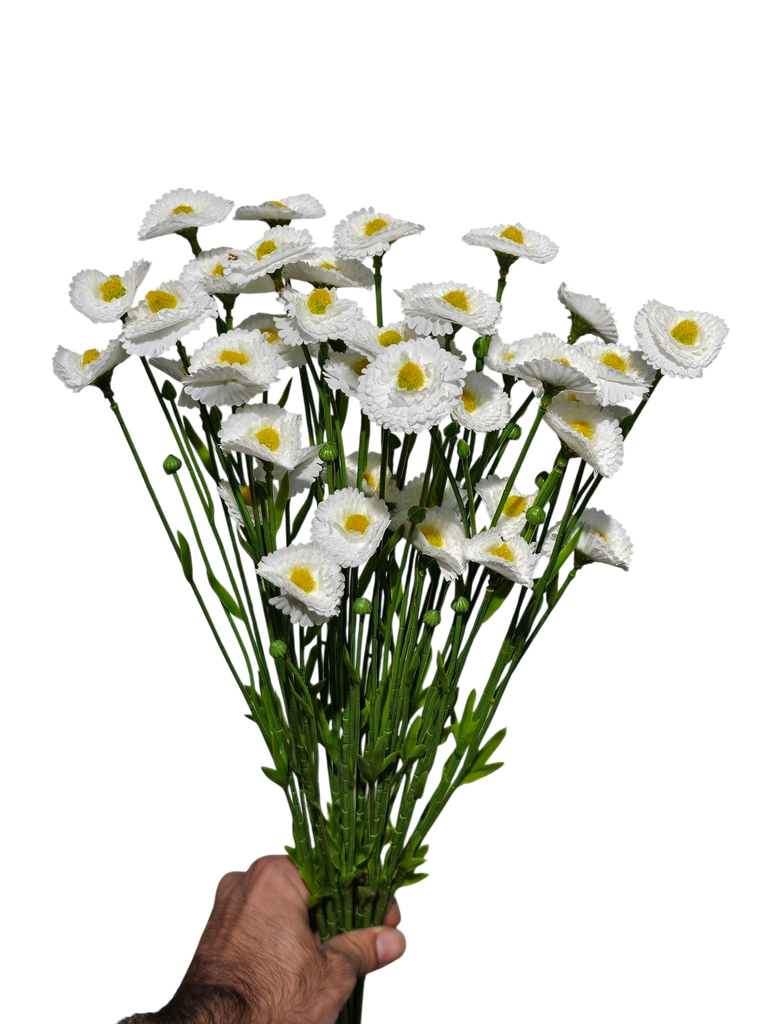 دەیزی تاک