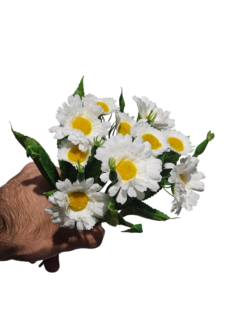 دەیزی سپی
