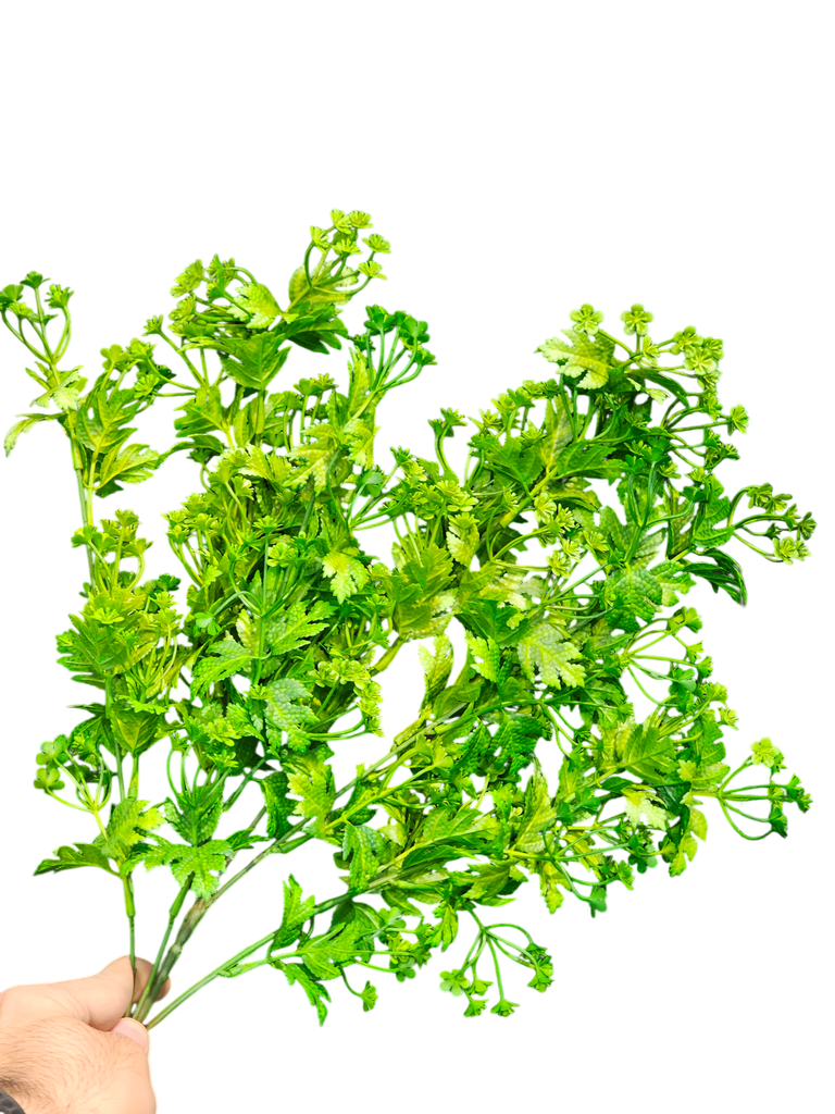 چەپکی سەوز