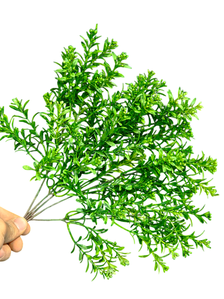 چەپکی سەوز