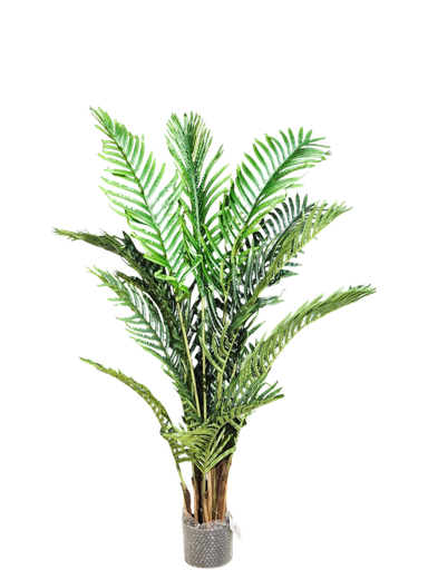 دار 145 سانتیم