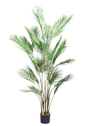 دار 180 سانتیم