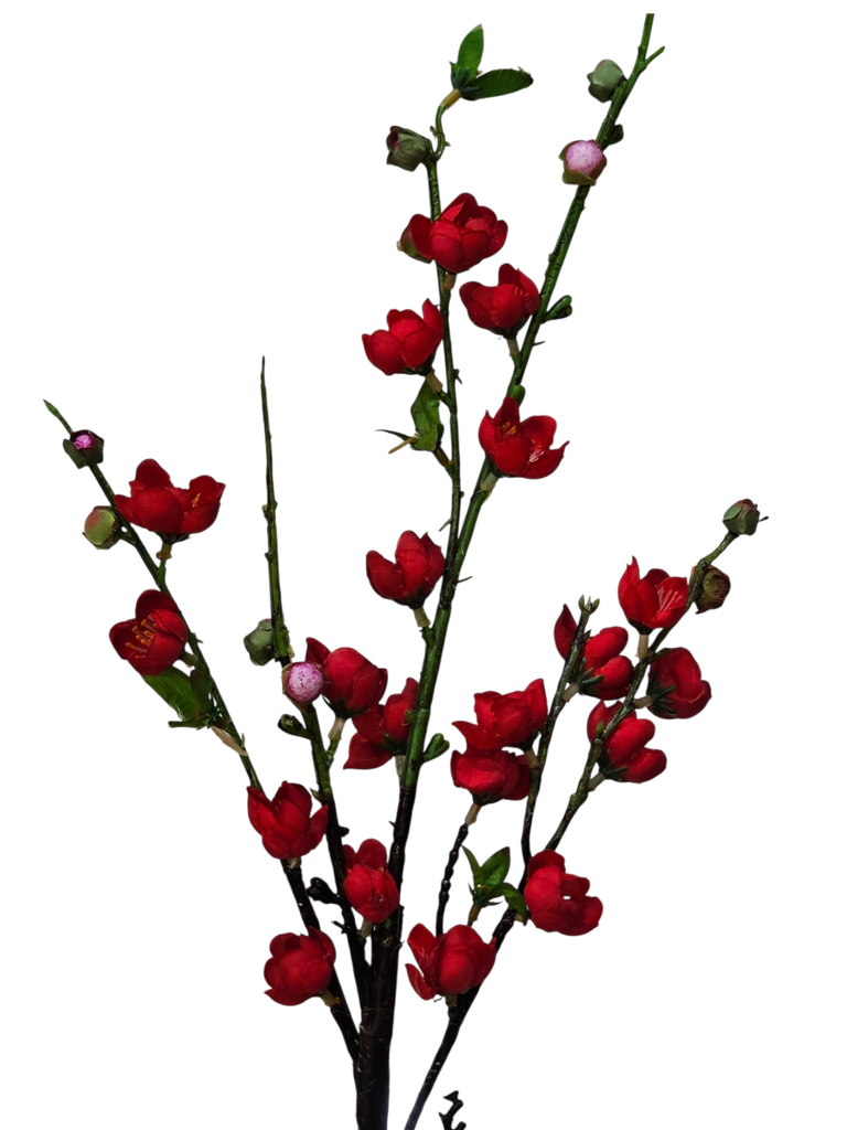 تاکی سۆر