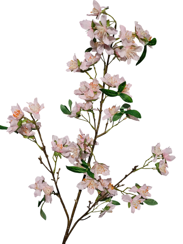 تاکی پەمبەی کراوە