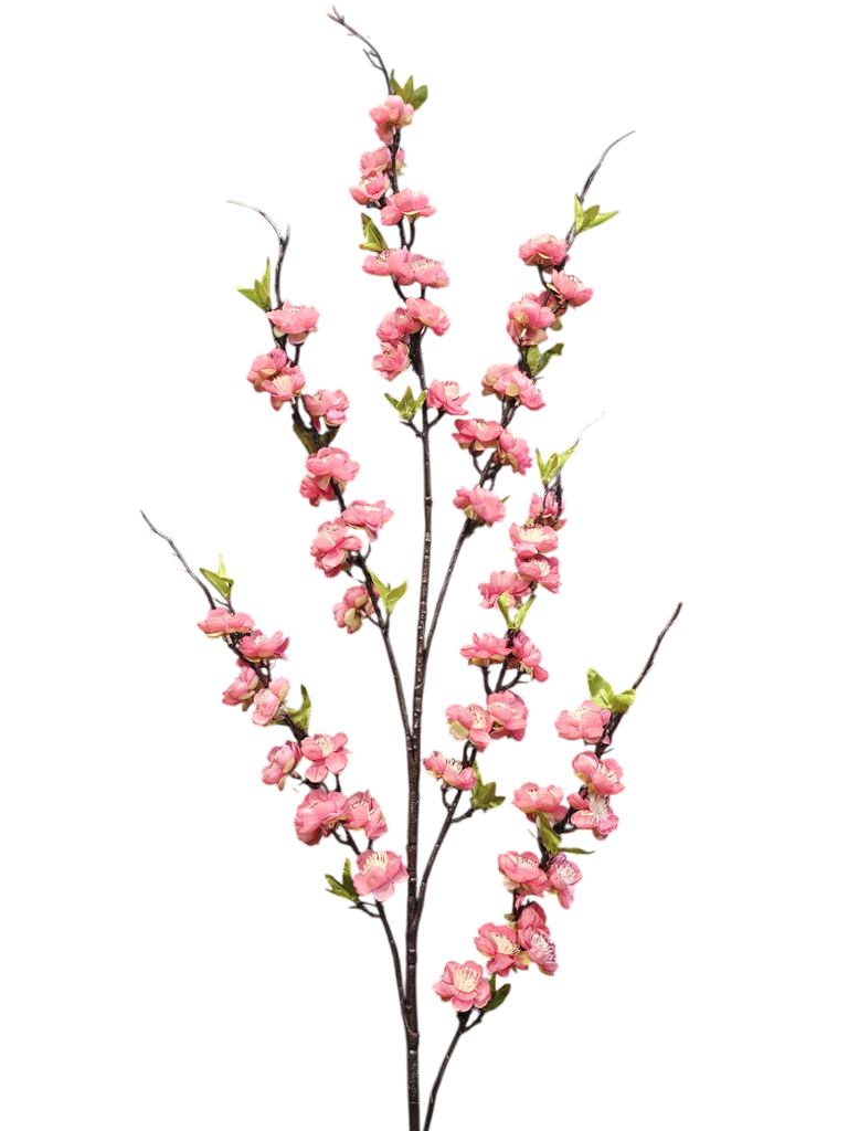 تاکی گوڵی شەرابی