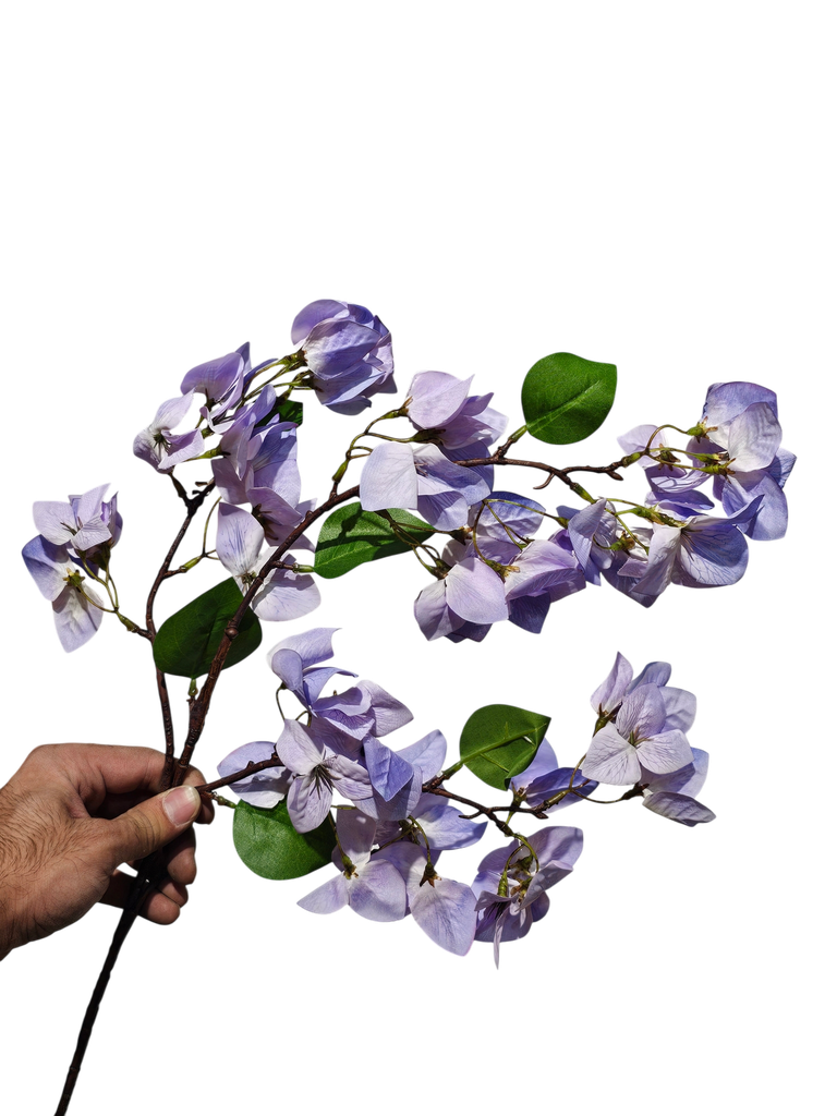 Bougainvillea Bright Purple