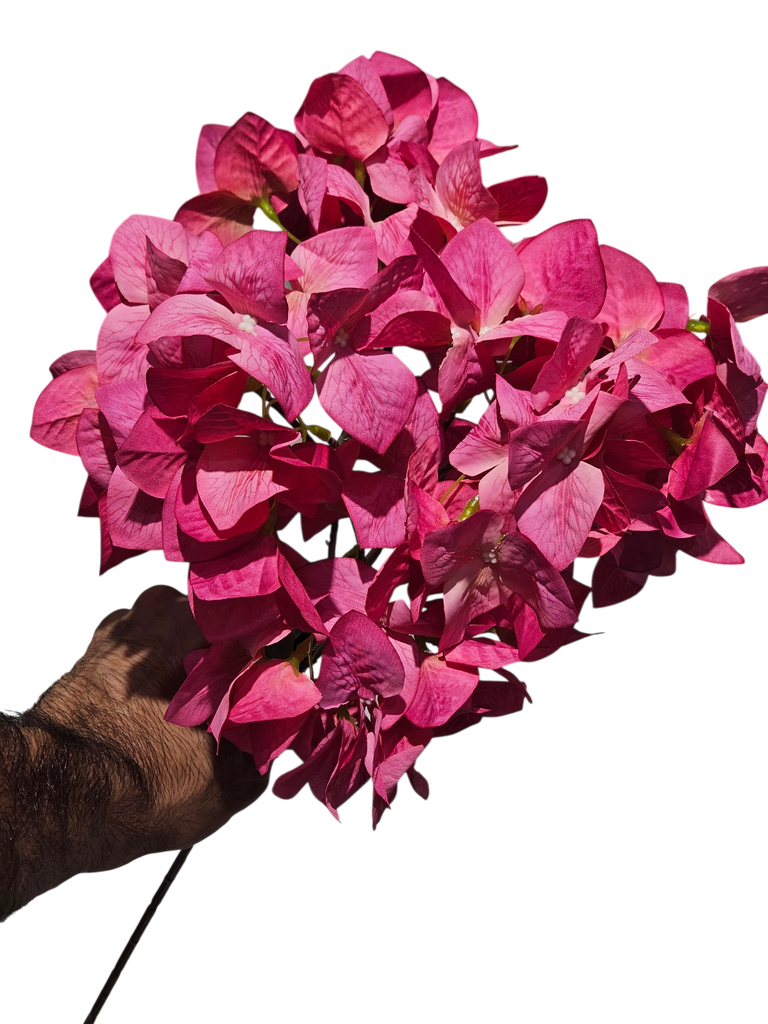 Ball Bougainvillea Wine Color