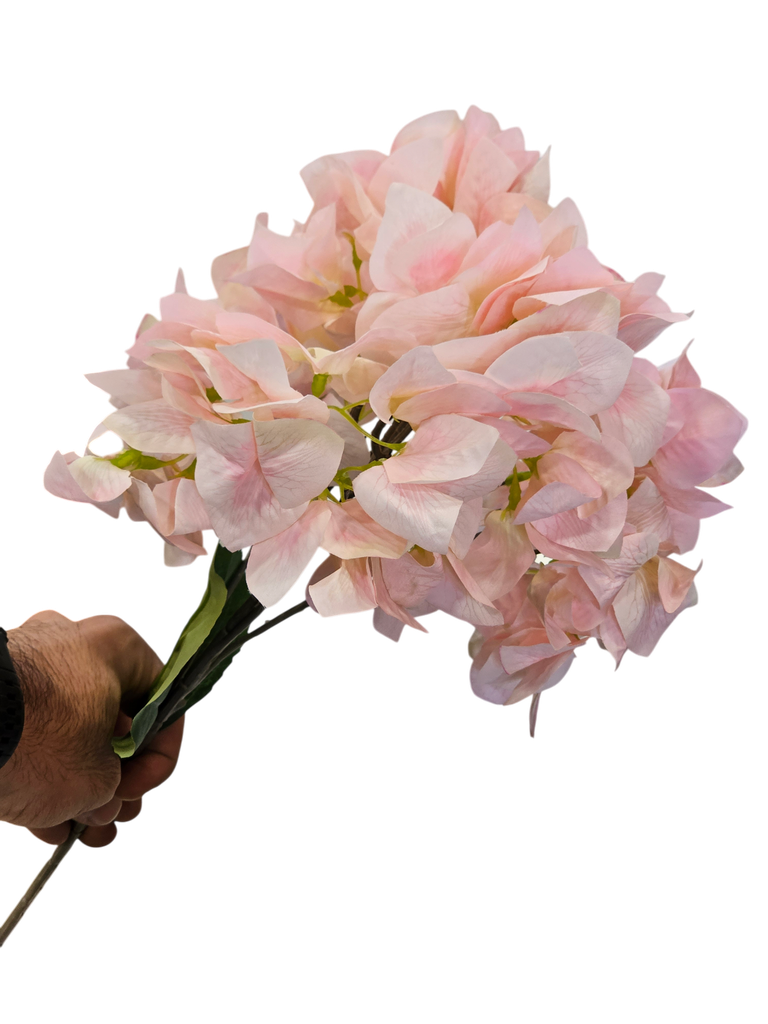 Ball Bougainvillea Pink