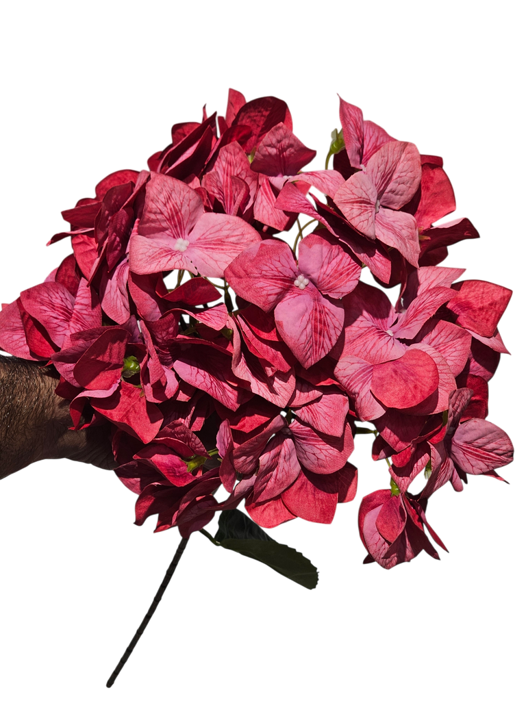 Ball Bougainvillea Red