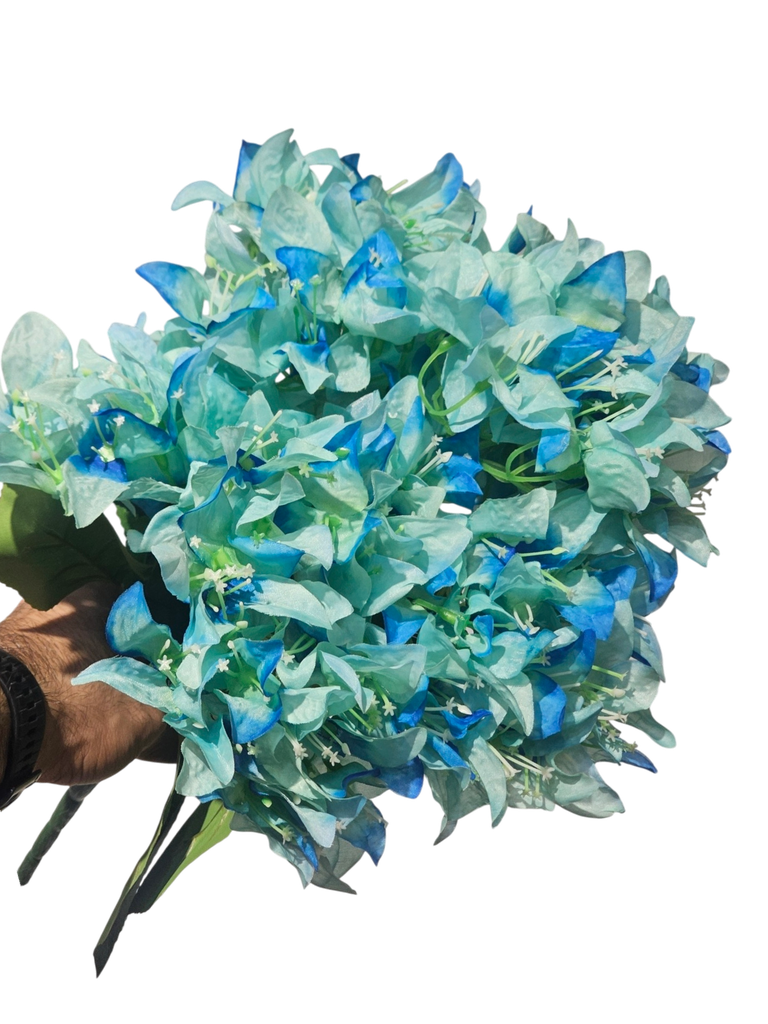 Blue Bougainvillea 