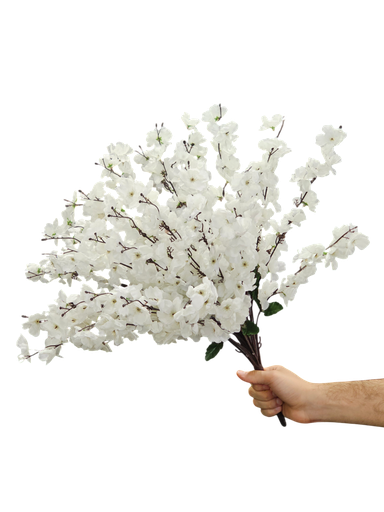 Large White Cherry Blossom