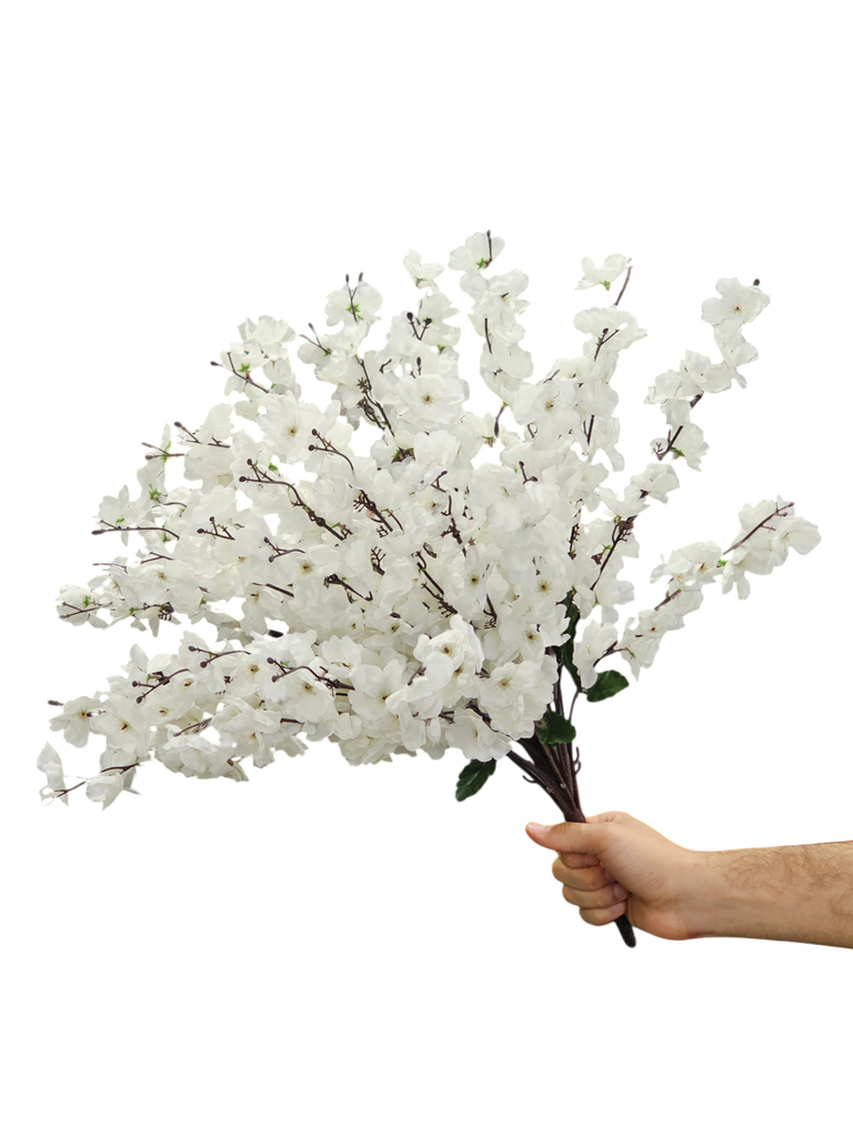 Large White Cherry Blossom