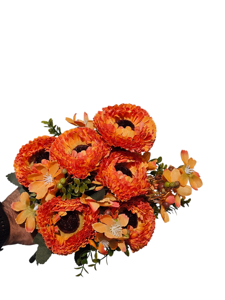 گوڵەبەڕۆژەی پرتەقاڵی