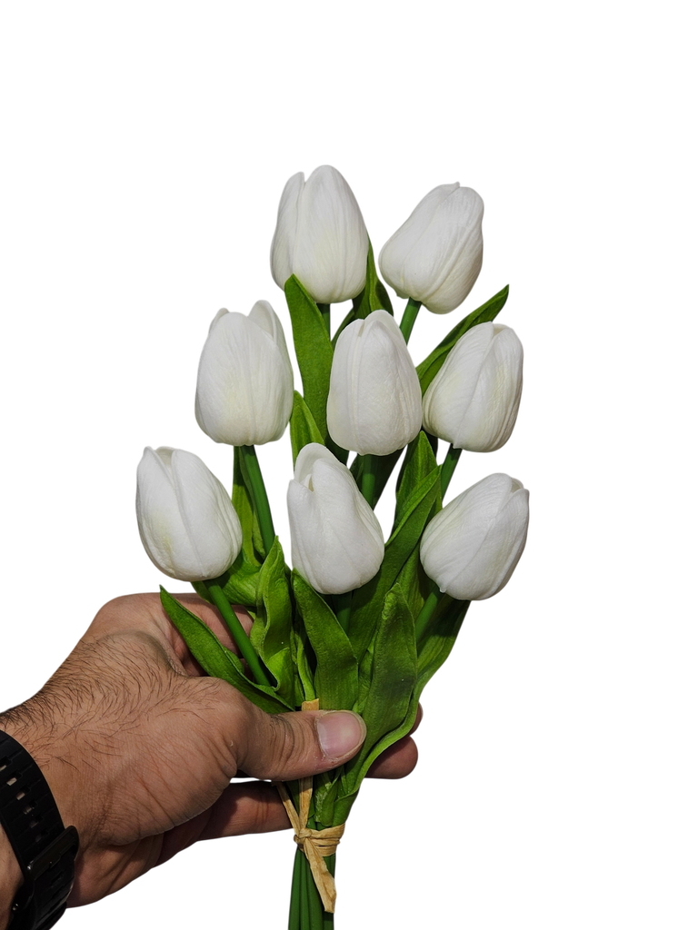 تولیپی سپی