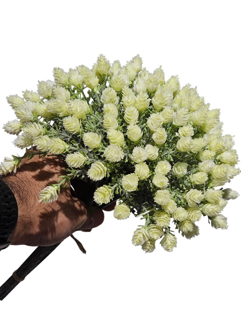 گوڵی بەفر