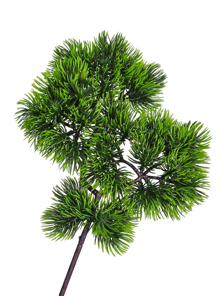 Bonsai leaves