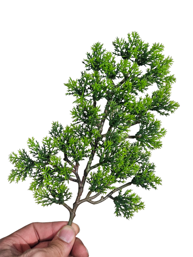 Bonsai leaves
