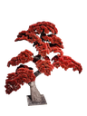 Bonsai tree