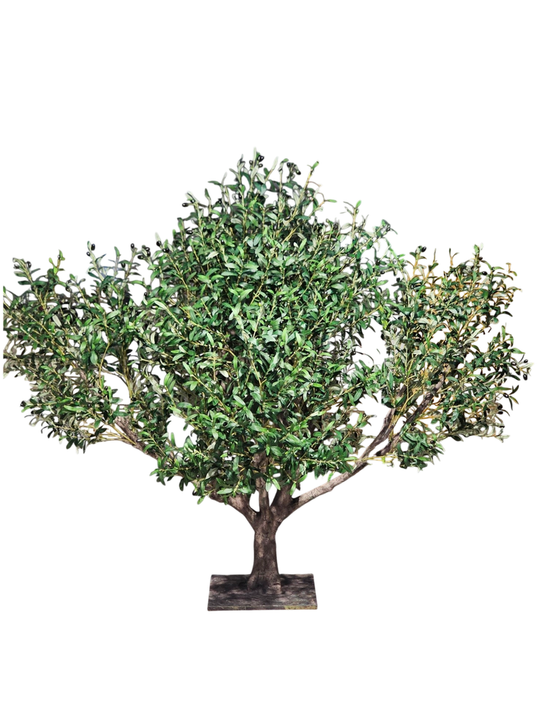 Large tree