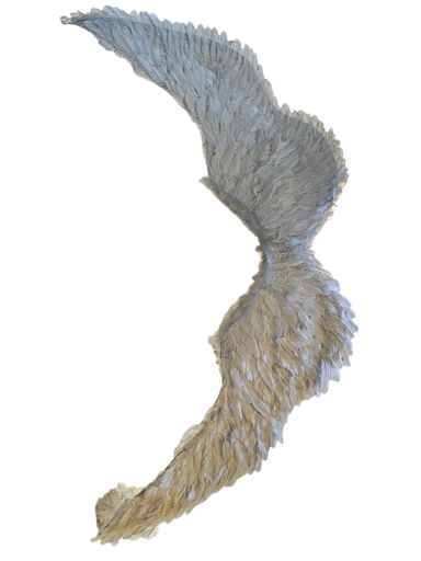 باڵەکانی فریشتە