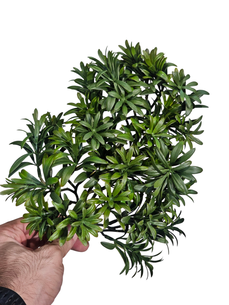 گەڵای بۆنسای