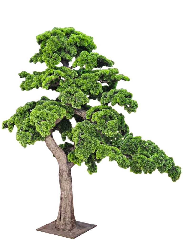 شجرة بونساي