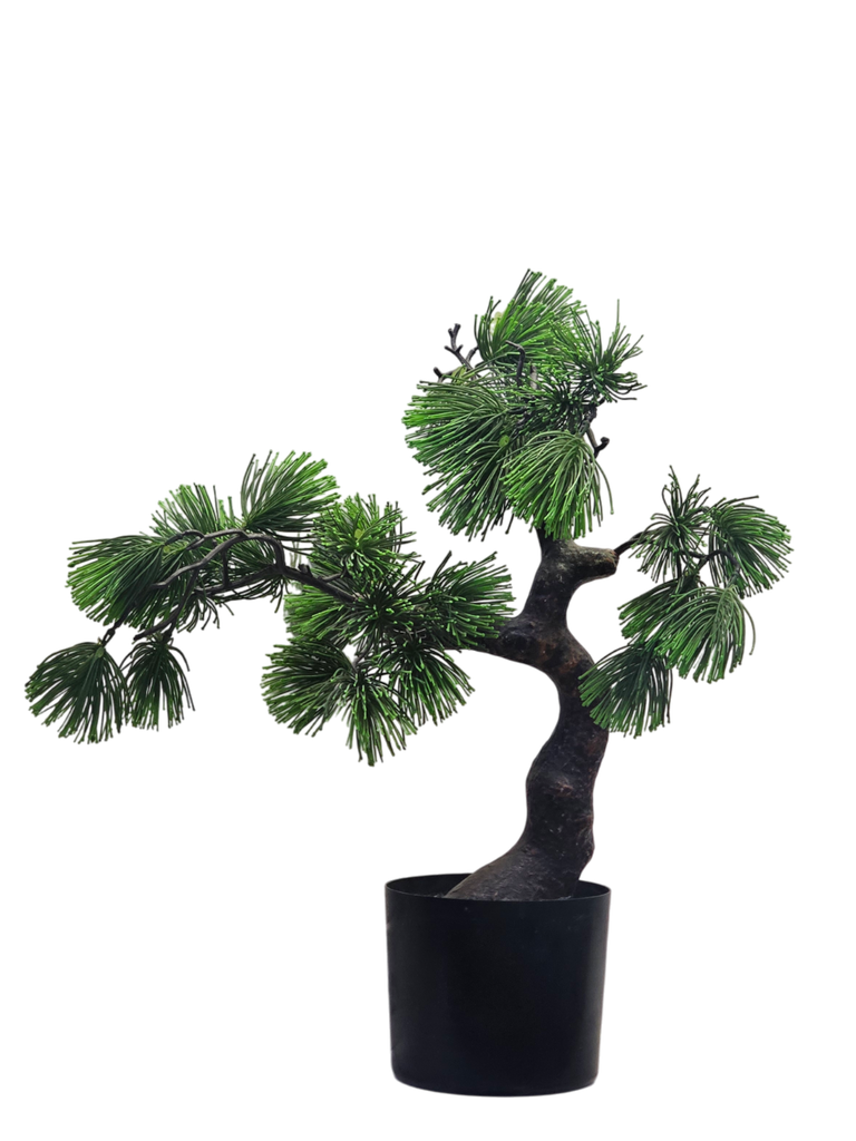 درەختی بۆنسای