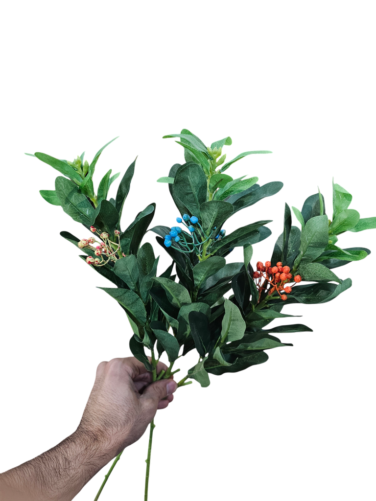 leaves