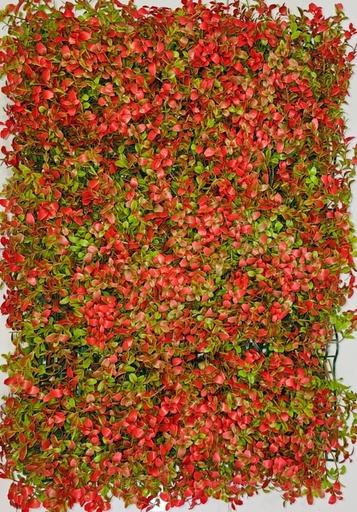 40*60 جرينوول