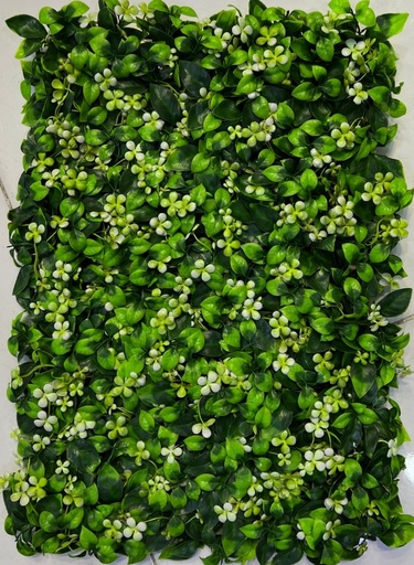 40*60 green wall