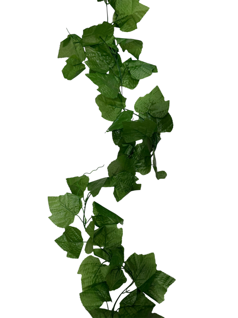 أوراق بطول 3 أمتار