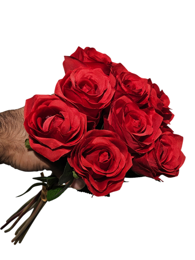 ڕێد رۆس بانچ