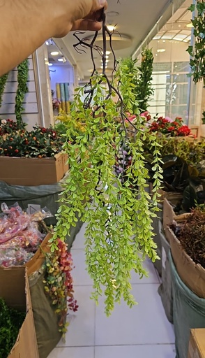 شۆرەبی