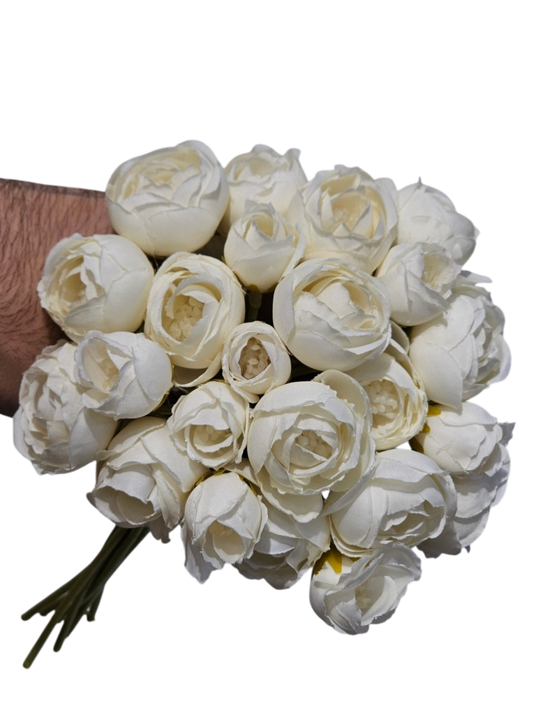 زهرة الفاوانيا الصغيرة