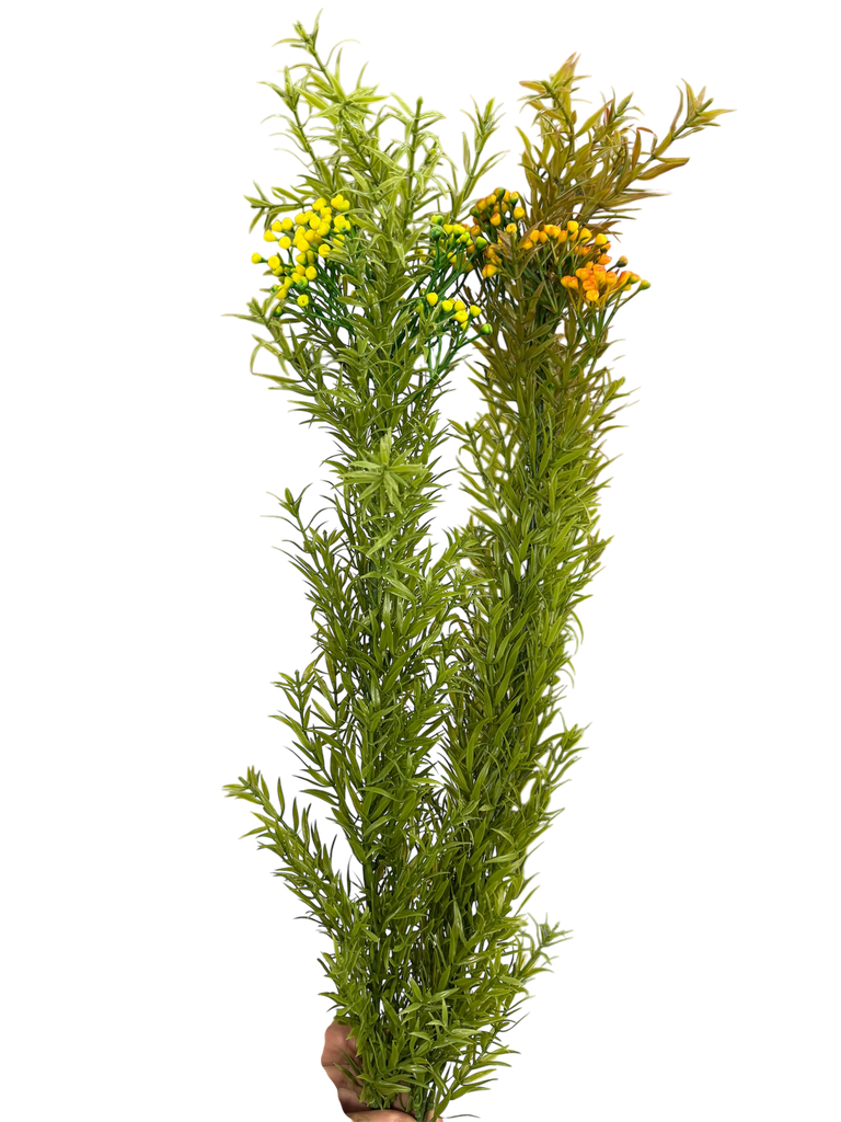 leaves