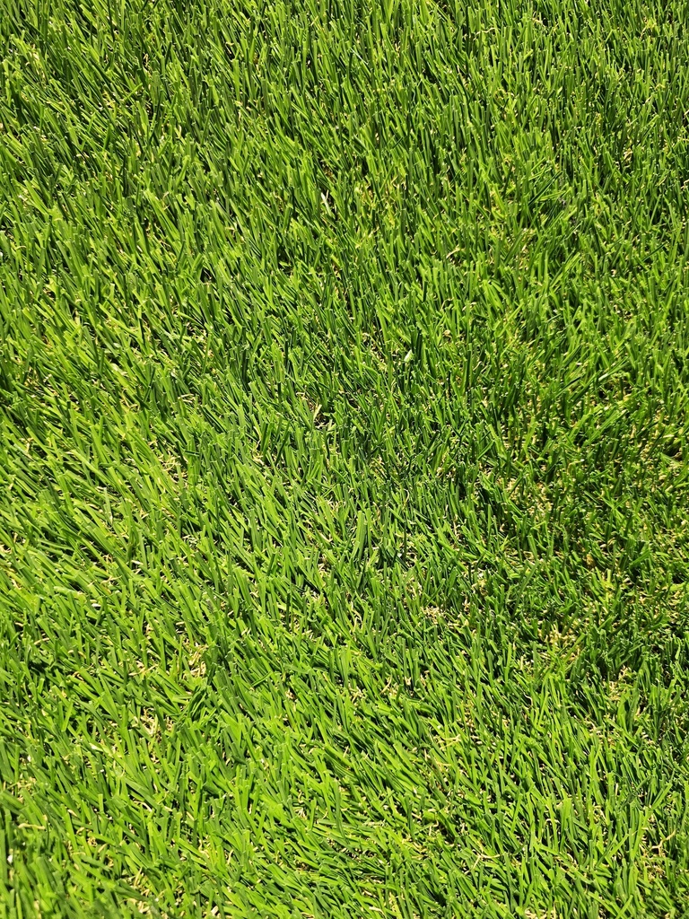 Turf 35mm