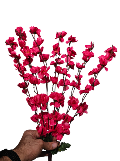 گوڵی گێلاسی هەناری