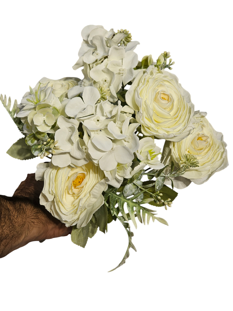 جيربرا ديزي