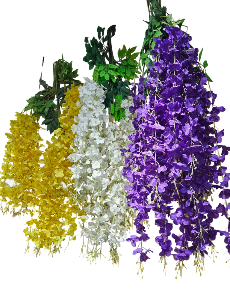westeria