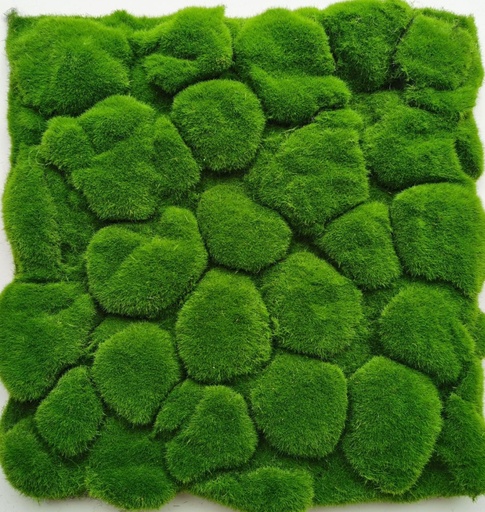 30*30cm moss