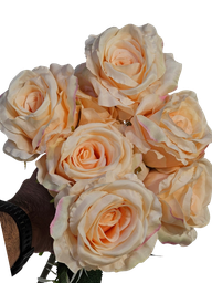 الوردة البرتقالية